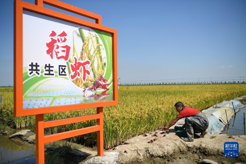 下分容易的平台
